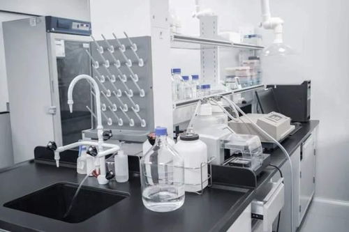 持續突破，精準制導 詩健生物的創新之旅與ADC藥物研發新篇