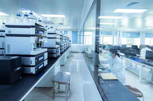 魯南制藥 研發投入占比10%，專利超2300件，何以蟬聯山東民企創新“四連冠”與生物產品研發新突破